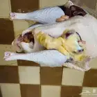 ديك رومي ذبح
