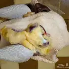 ديك رومي ذبح طازج