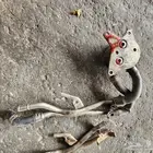 مبرد زيت قير لكزيس تندرا سيكويا لاندكروزر سفلي سكويا تاندرا