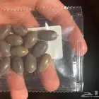 بذور زهرة لوتس