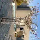 القصيم الرس