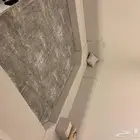 جلسه ارضيه