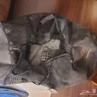 للبيع عدة غوص متكاملة مستعملة