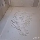 جي أرسي جبس فرنسي