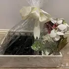 استاند شبكه اوهديه