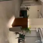 نباتات داخليه