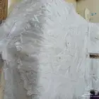 شرشف سرير ممتاز ابيض