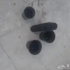 أصيص زرع