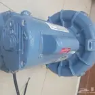 منفاخ او دنمو