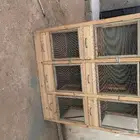 محاكر خشب للصوص والدجاج دورين