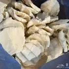 اقط مضير غنم