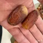 تمر صقعي