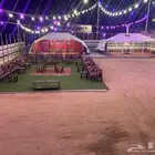 استراحة ومخيمات زهرة الطايف