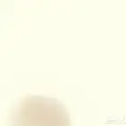 شاحنات شاكمان وساينو ترك