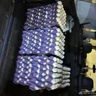 اطباق بيض بكيني ع 30 ريال
