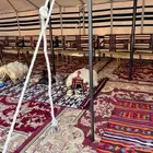 تأجير اخيام وبوت الشعر