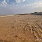 سور للايجار