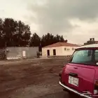 للبيع لوحه مميزه