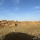 للبيع تبن