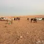 مربط صهوة الصافنات لإيوى الخيل والعنايه