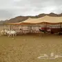 بيشيات صنف مع المراح كامل 