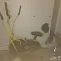 سيكل رياضي