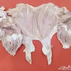 ولسا شغال العروض حاليآ في خصم  17.75 العشرة كيلو شامل ال