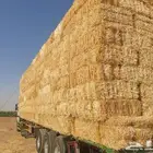 برسيم صافي برسيم مخلوط تبن