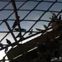 للبيع جميع انواع الحمام 
