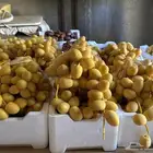 تمور ورطب من مزارعنا مزارع الجوف لقط يومي