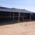 بيت شعر قطبا جميع المقاسات