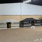 خيمة علا شكل بيت شعر ثلاث طبقات