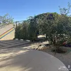 شاليهات الدانه  السيباني