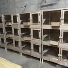 اقفاص حمام جديده للبيع