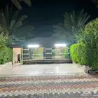 عرض إستراحة النخيل 300