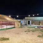 بيت شعر نضيف مقاس 13 6
