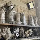 جير ايسوزو وانيت جير عادي مع التركيب والضمان