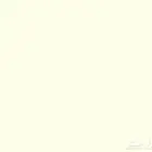 قطط للتبني (الخرج)