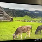 شاشة قيمنق السعر قابل للتفاوض