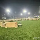 جلسات خارجية