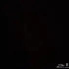 اجار