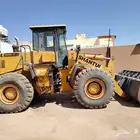 شيول شنتاو 2013