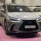 لكزس NX350 استاندر هايبرد 2025 ( ابيض )