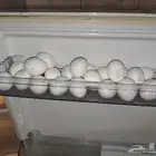 أغراض شقه سكنيه