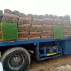 تنسيق وتركيب الثيل الطبيعي والصناعي