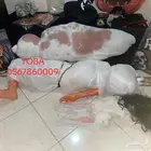 تنسيق حفلات تنكريه .. رعب هالوين