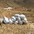 للبيع سماد معزى عضوي بأكياسه