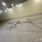 شبكة صيد طيور بريموت الطول 10 في 2 ونص