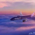 حجز طيران