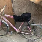 سيكل 24 تعاشيق